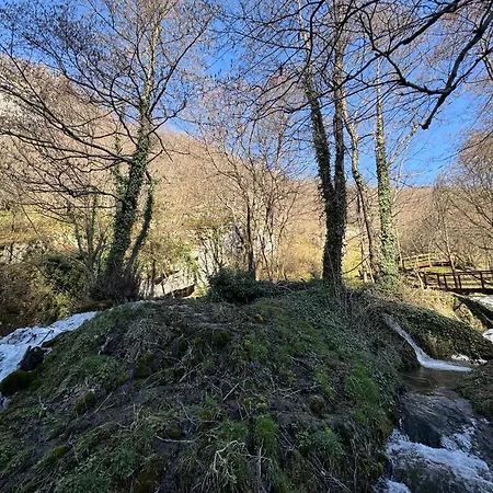 Dream House * Orasac