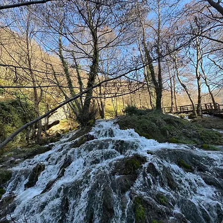 Dream House * Orasac